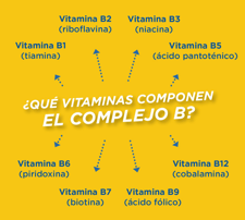 Bedoyecta Blog - Quali vitamine compongono il complesso b?